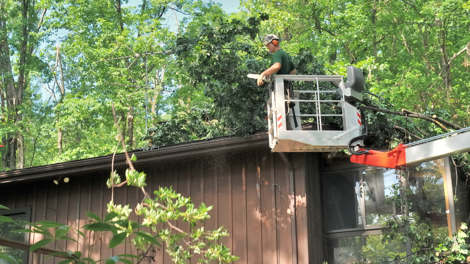 Residential Tree Services