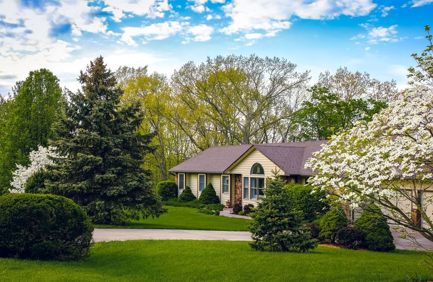 Suburban house with green lawn, trees, and blooming white flowers under a blue sky
