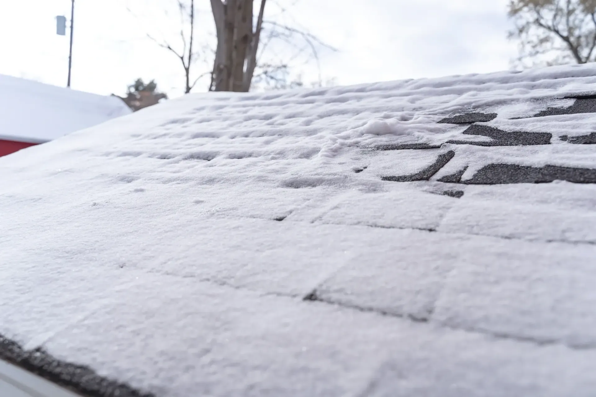 A close up of a snow covered roof with a tree in the background.