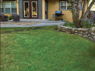 House front yard with green lawn, stone border, and patio near wooden doors