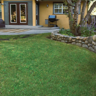 Front yard with green lawn, stone border, and house patio with glass doors and grill