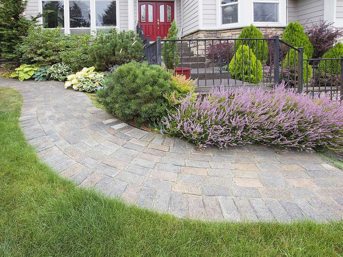 Curved stone walkway through a landscaped front yard with shrubs, purple flowers, and a red front door