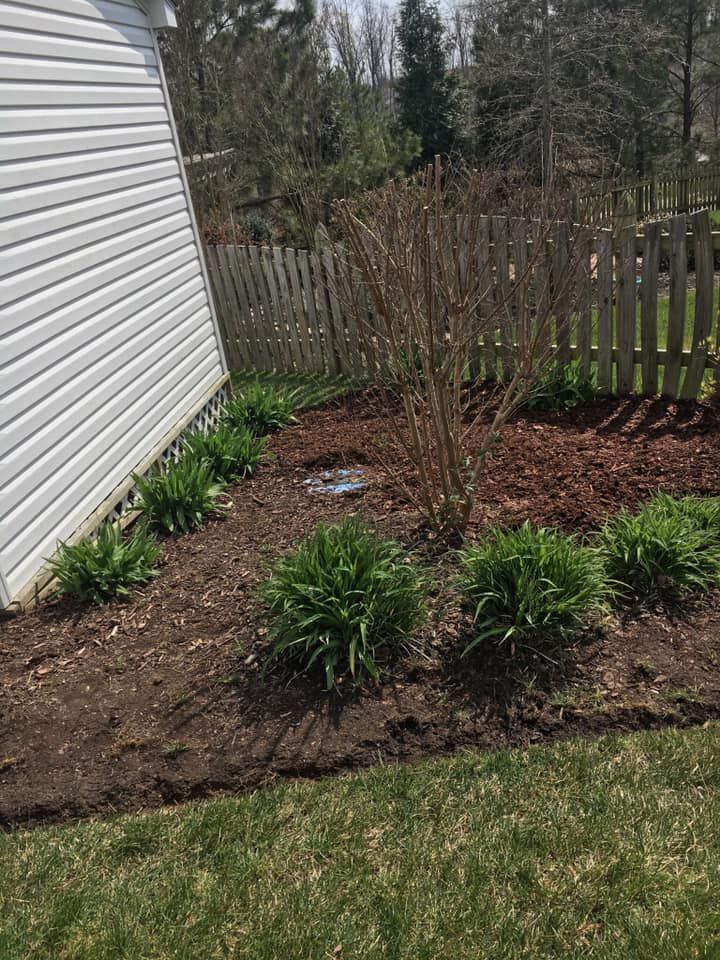 Backyard garden bed with shrubs, mulch, and a white house wall beside a fence