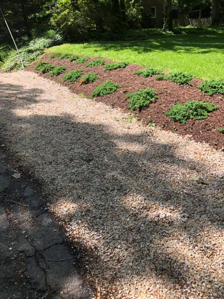 Gravel path beside a sloped garden bed with small green shrubs and sunlight on grass