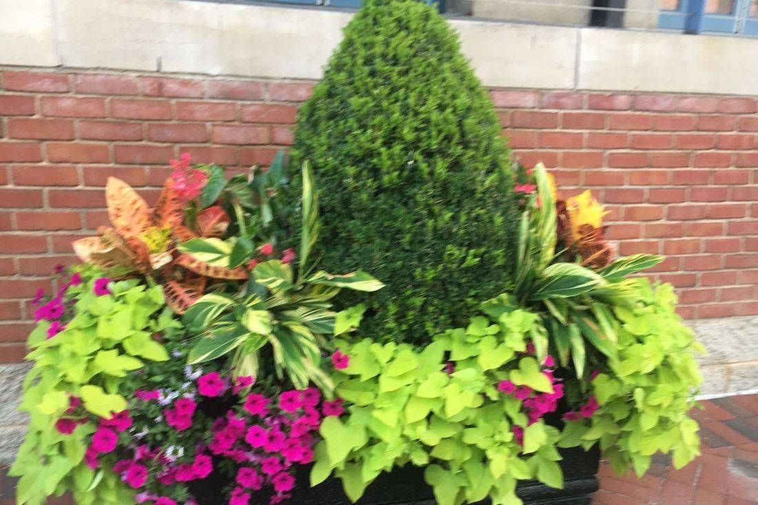 A decorative topiary with colorful flowers and green foliage against a brick wall