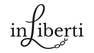 Logo for The IT People LLC with a person at a screen and the slogan “We get IT”