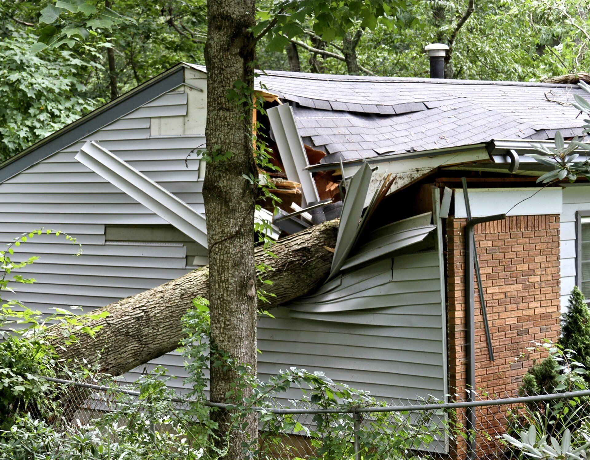 Tree has fallen and damaged a house's roof and side.