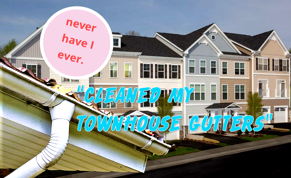 Gutter cleaning 