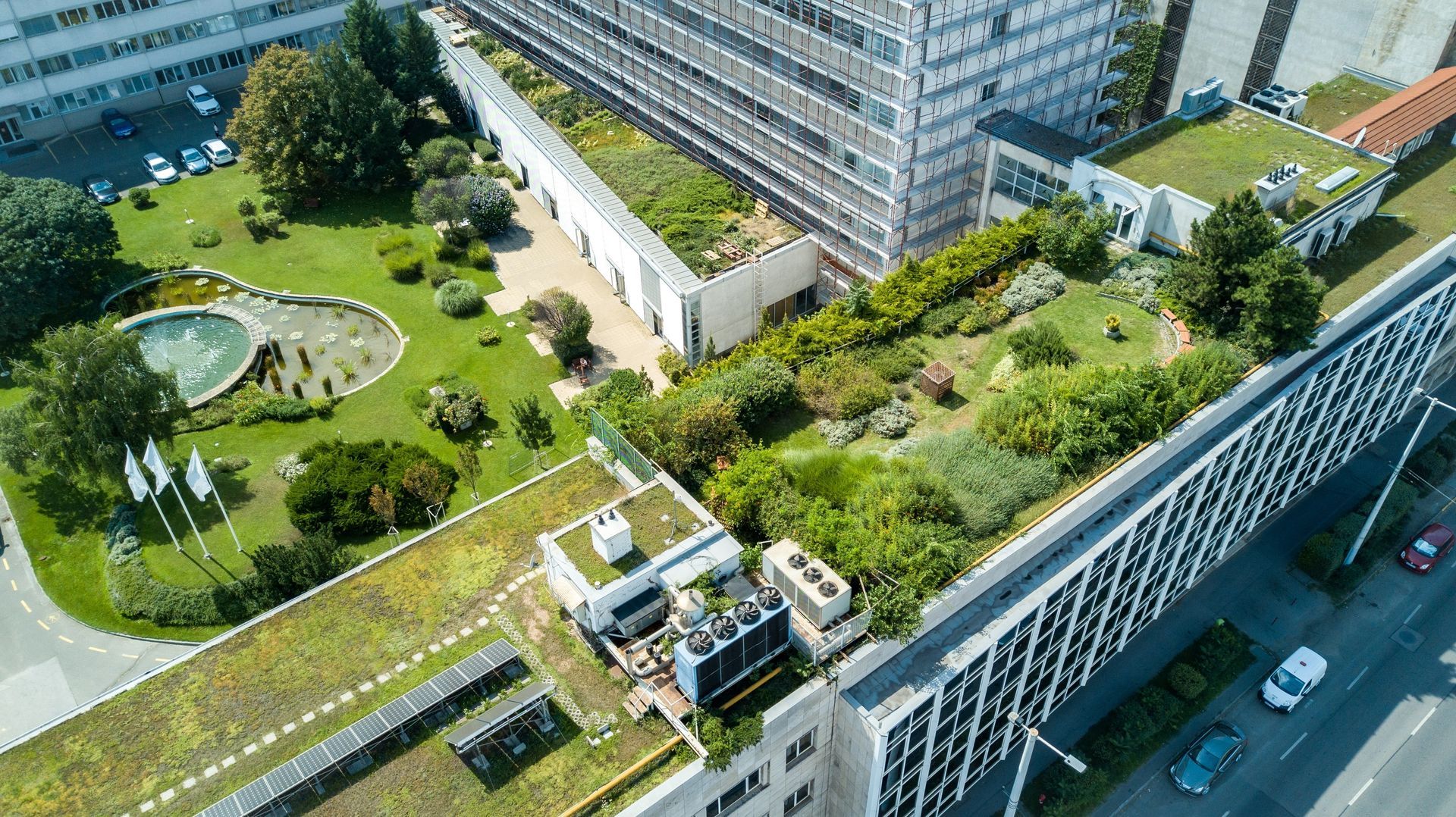 Green roofs on a modern building, surrounded by trees, a pond, and a parking lot.