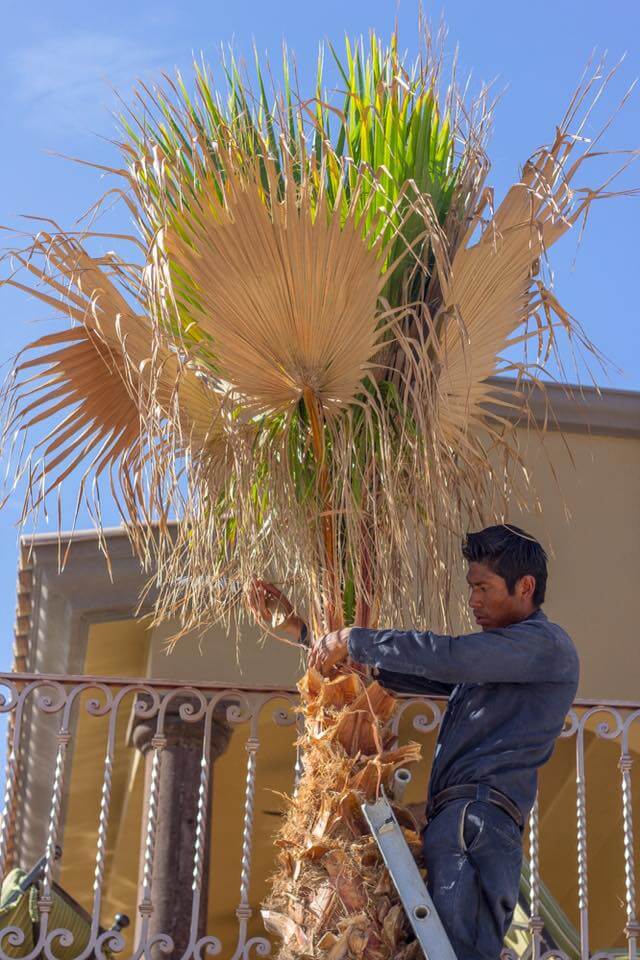 VISIÓN ECOLÓGICA - PERSONAL CAPACITADO