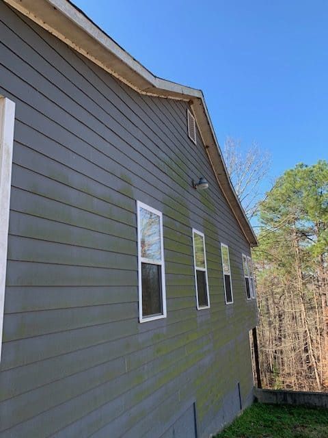 Gray siding on the side of a house shows green algae growth below several windows, with woods in the background.