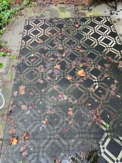 A black and cream geometric patterned outdoor rug sits on a concrete patio covered with scattered fallen leaves.