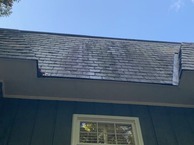 Low-angle shot of a dark-shingled roof section with visible streaks and a portion of a house exterior with a window.