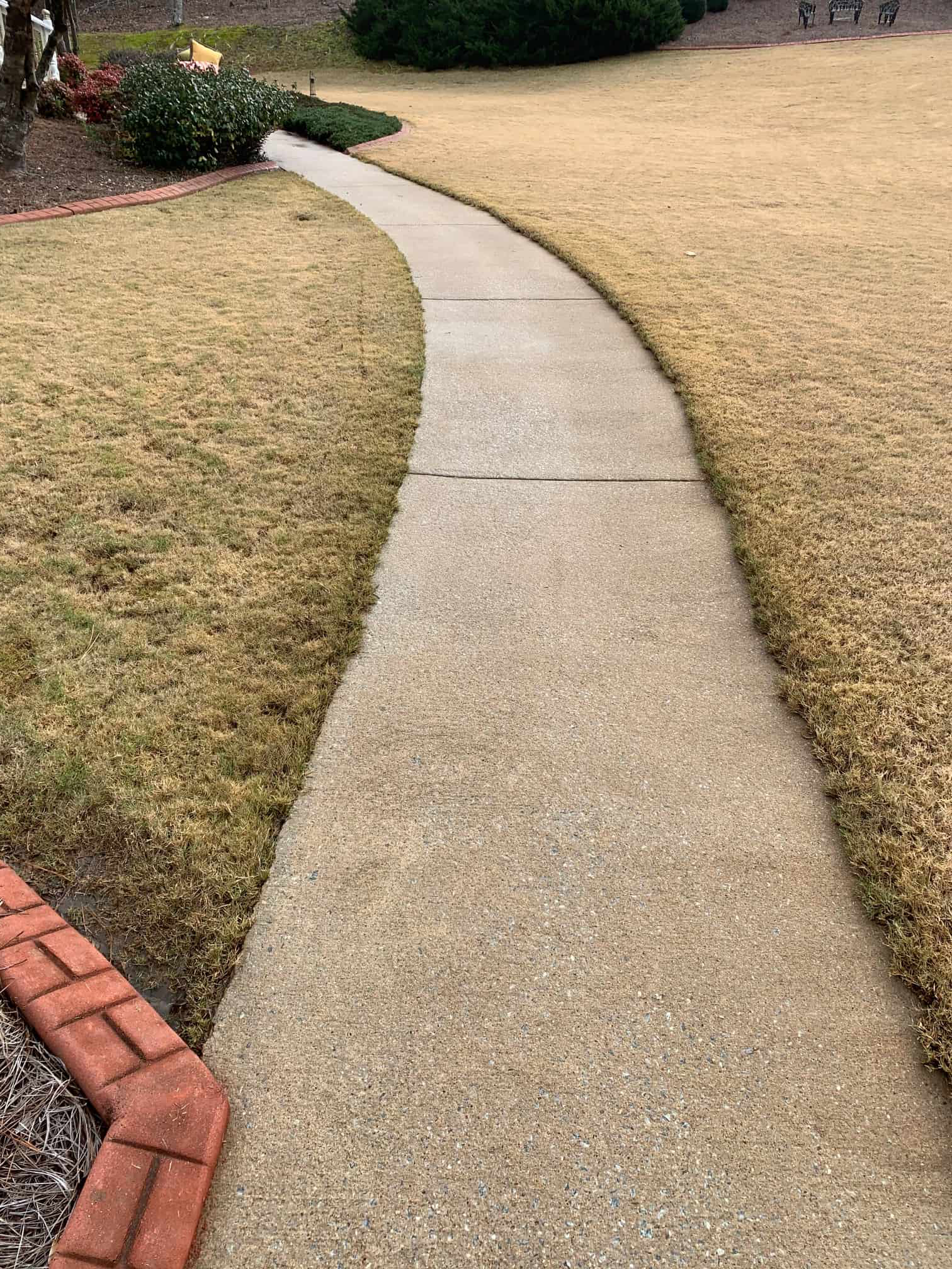 A curved concrete walkway cuts through dormant, tan grass, bordered by red bricks near the bottom.