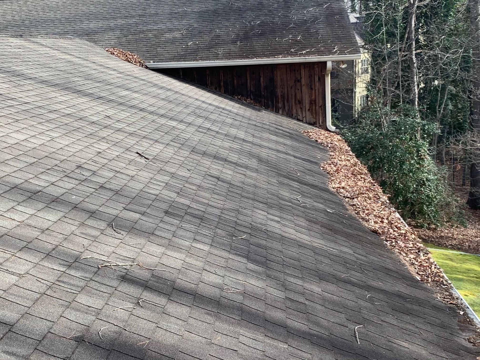 A roof valley filled with dried autumn leaves, showing shingled slopes meeting at a dark corner next to tall trees.