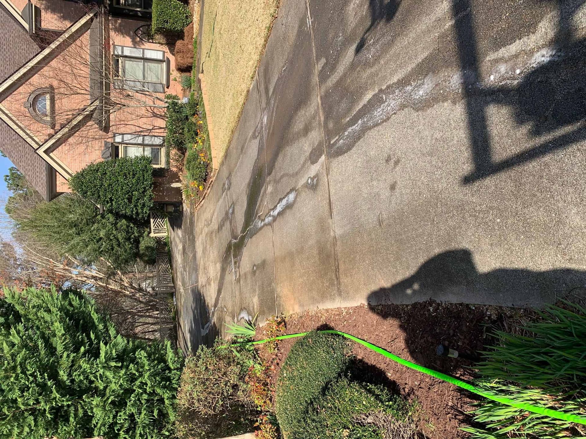 A paved residential driveway stretches toward a brick house, partially shaded by trees and overgrown landscaping.