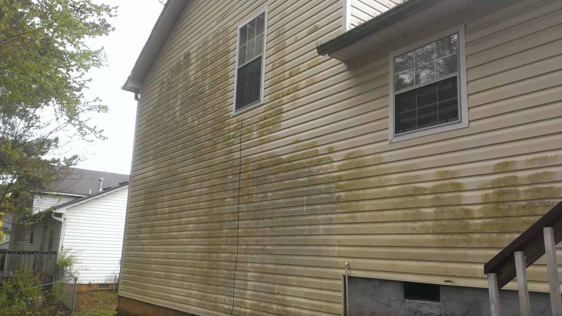 The beige vinyl siding on the side of a house is heavily covered with patches of green algae and mildew.