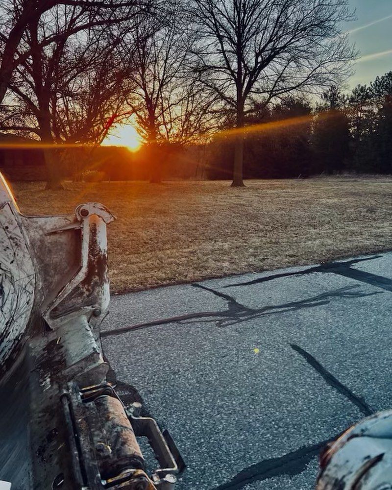 The sun is setting behind the trees in the background