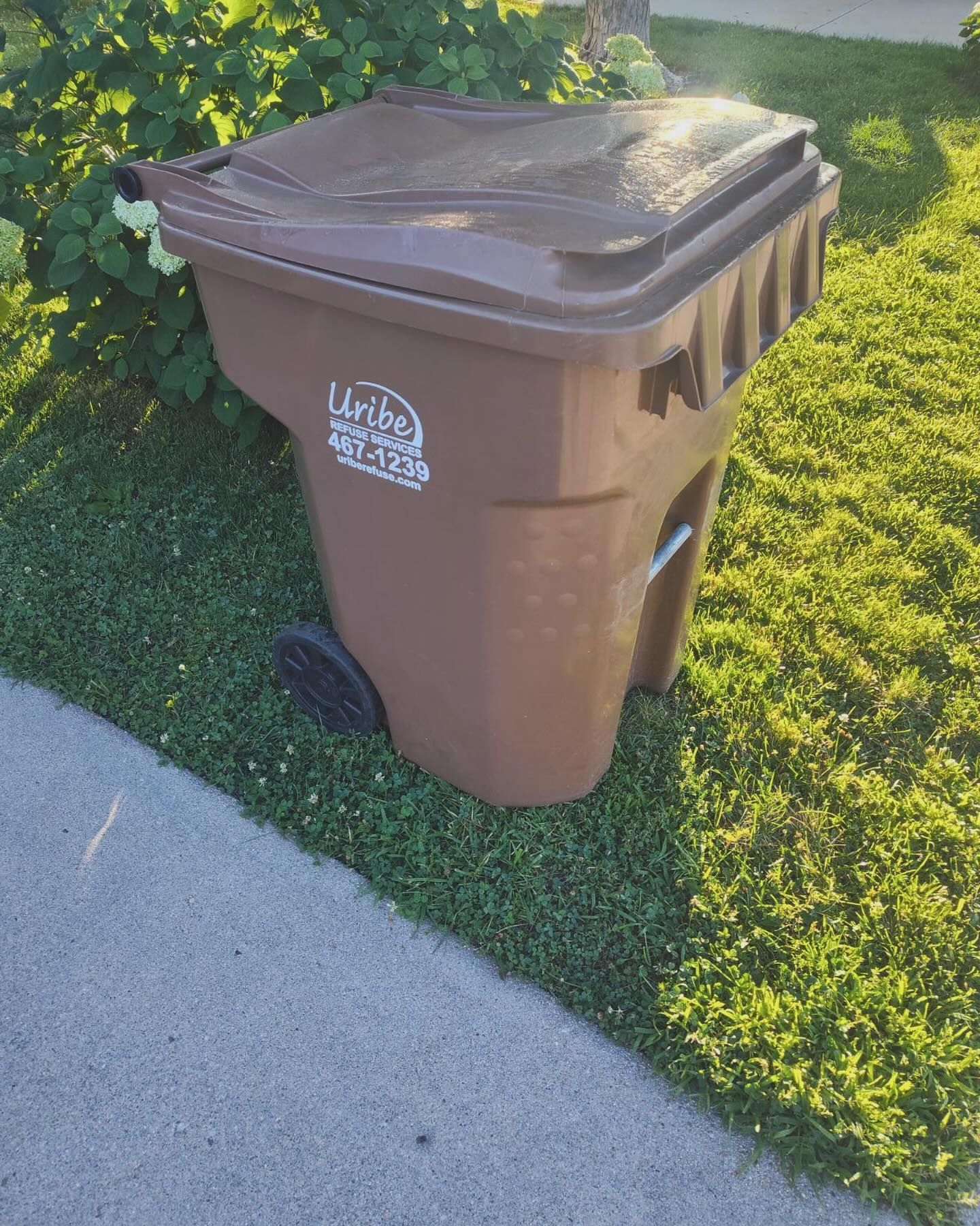 A brown garbage can is sitting on the grass next to a sidewalk.