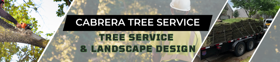 McKinney tree service