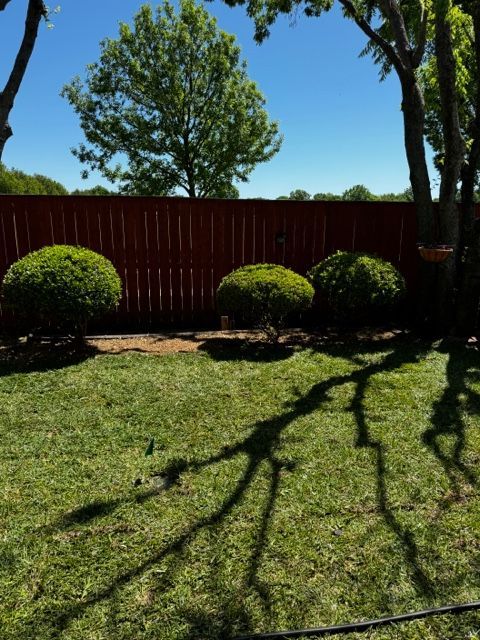 sod installation companies near me