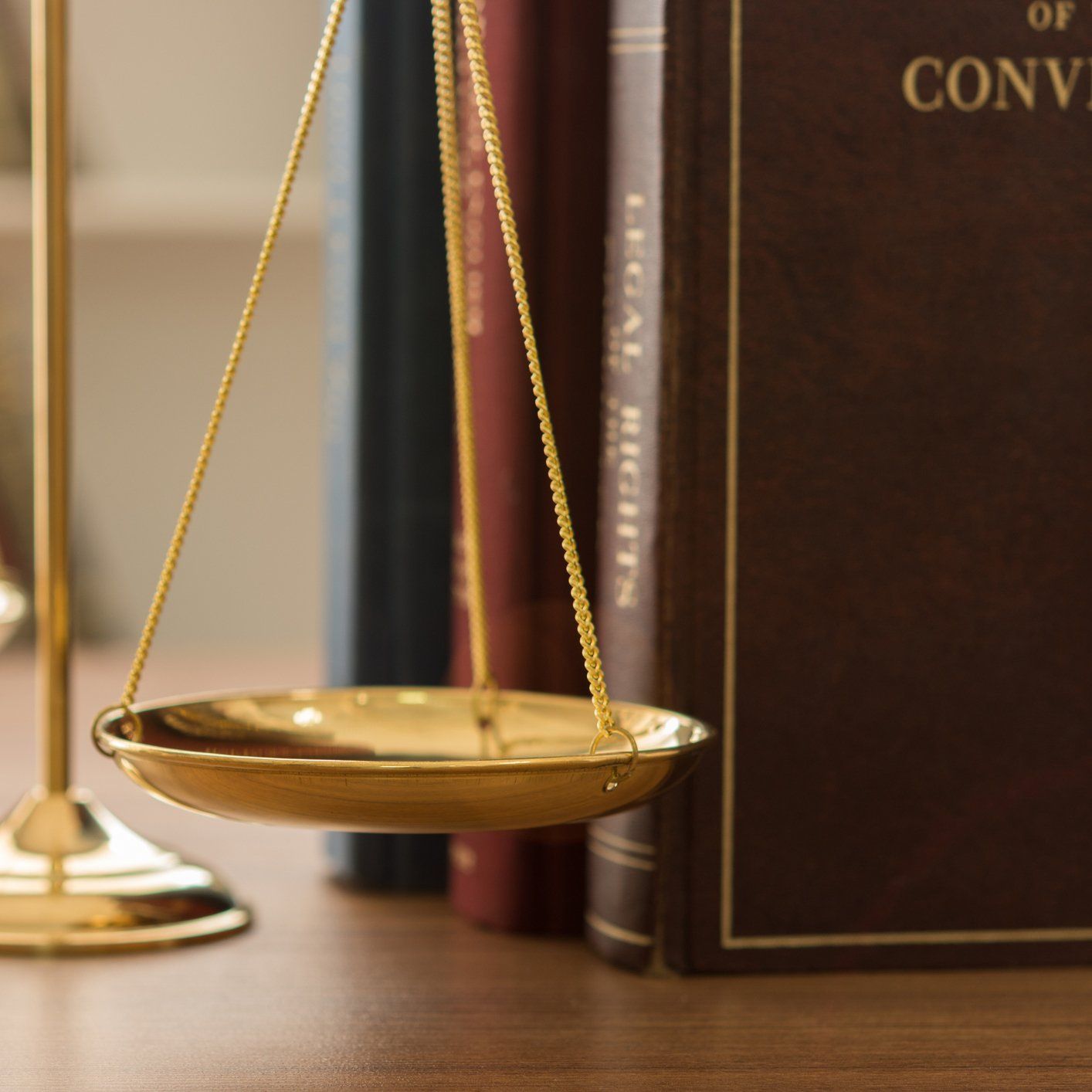 Books About Law — Charlottesville, VA — Skeen Law Offices Books About Law — Charlottesville, VA — Skeen Law Offices