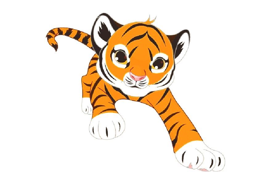 A cartoon tiger cub is walking on a white background.