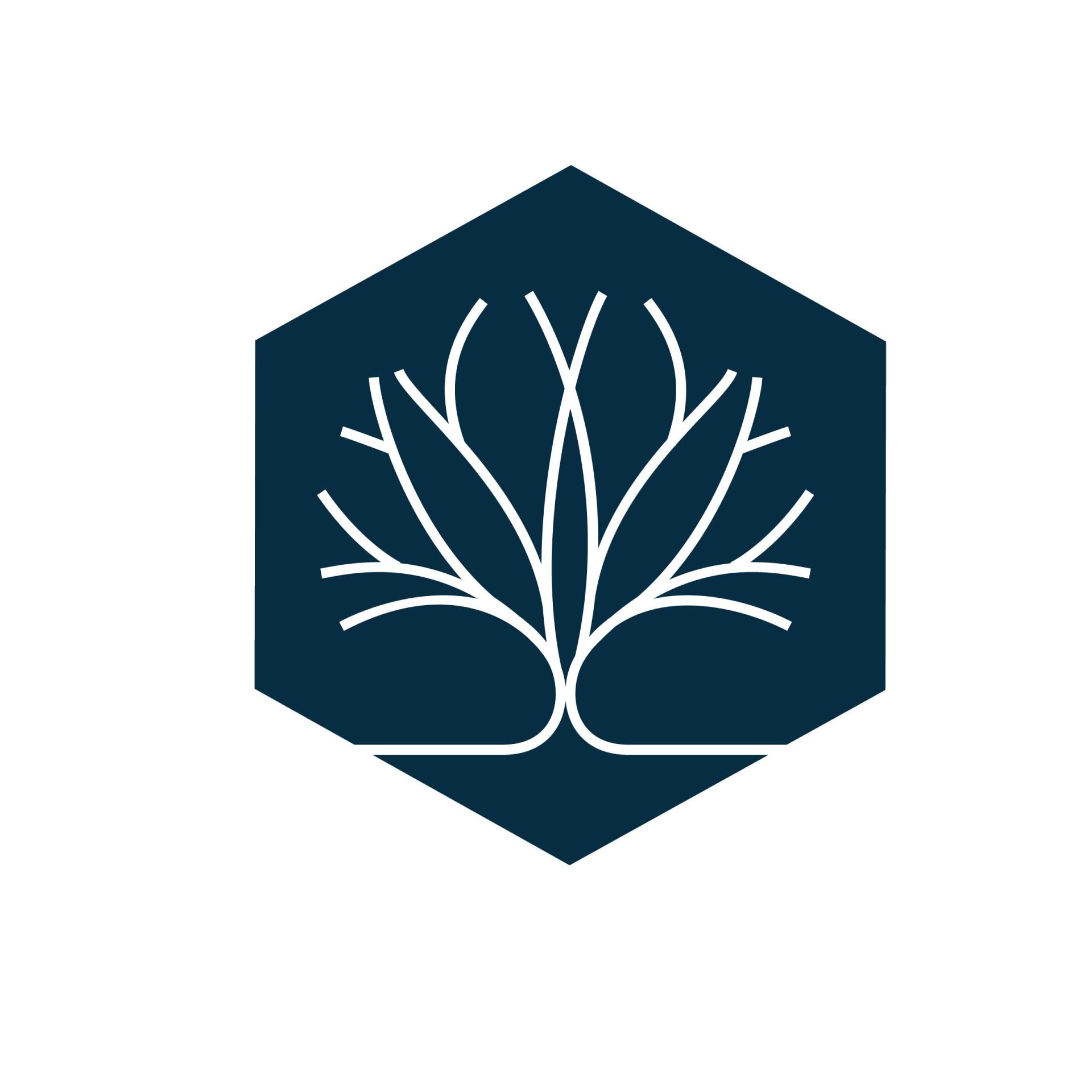 Haven Wealth Management