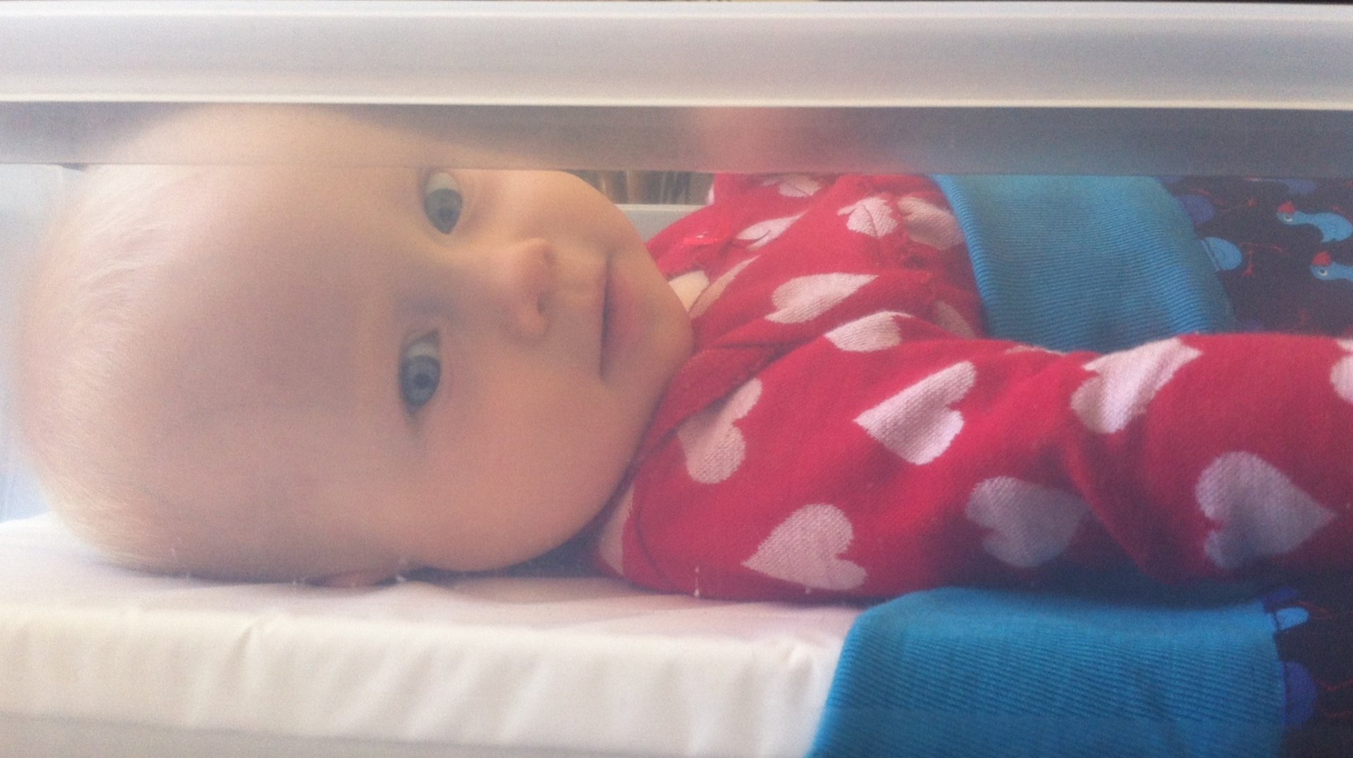 pepipod programme parents safe infant sleep cosleeping baby bed SIDS