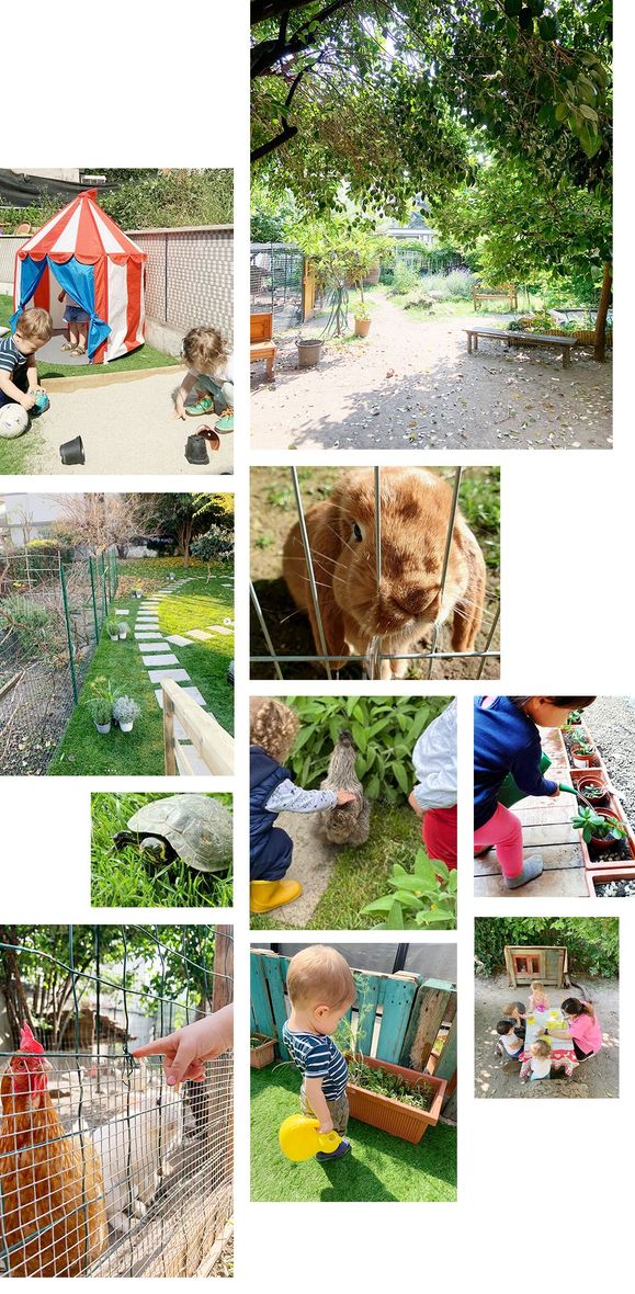 Un collage di foto di bambini che giocano con gli animali in un giardino.