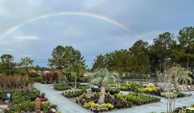 Landscape Design — Young Gardener in Leland, NC Landscape Design — Young Gardener in Leland, NC