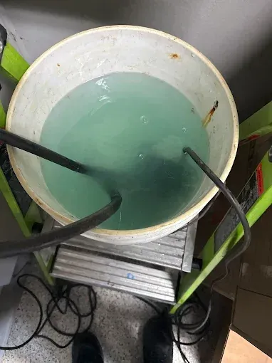 Bucket of greenish water with black hoses on a metal step stool in a utility area