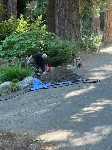 Person shoveling dirt on a roadside beside a large tree, with tools and a blue tarp nearby.