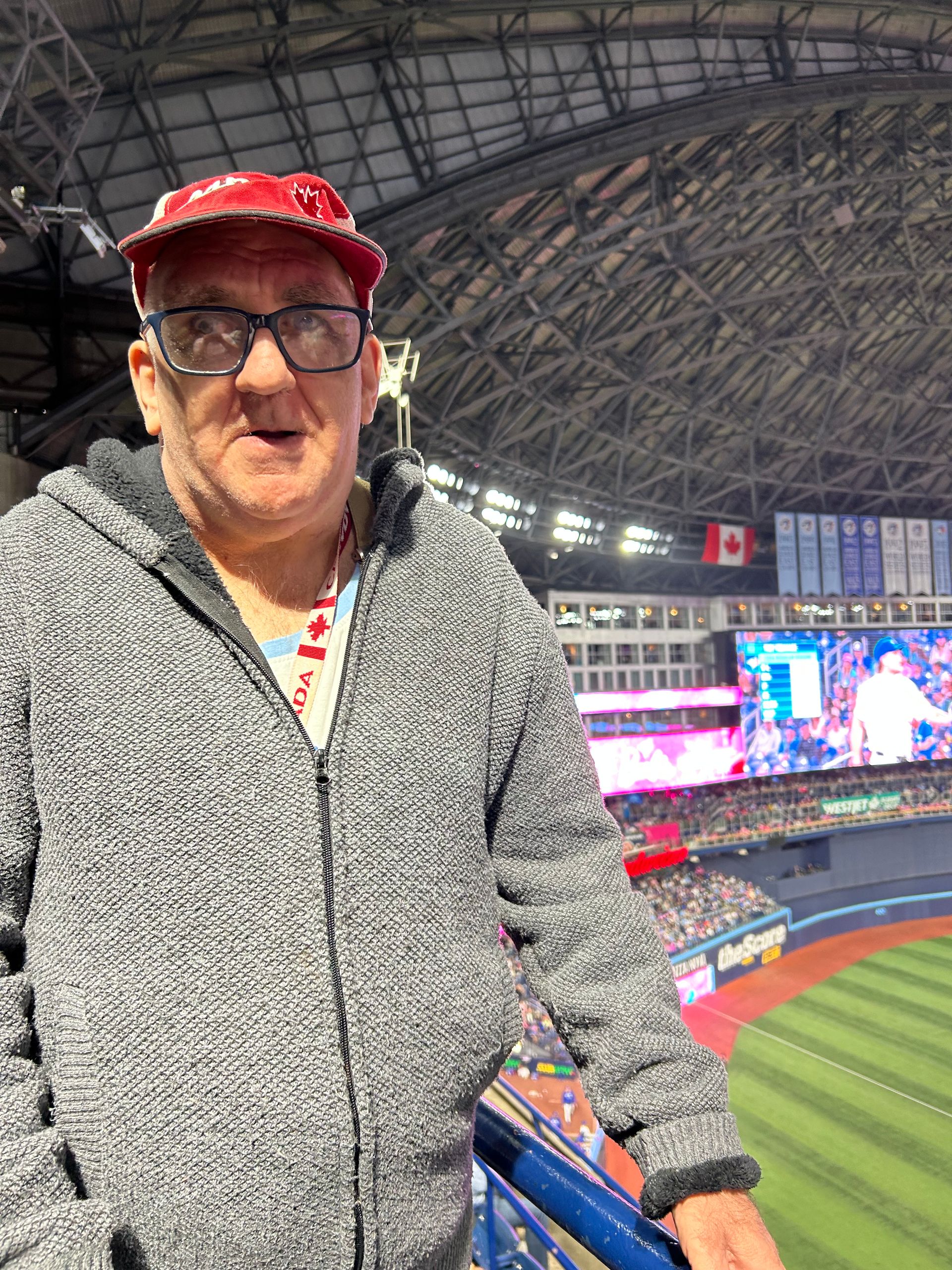 A man standing at the railing of the Rogers Centre watching a Blue Jays game
