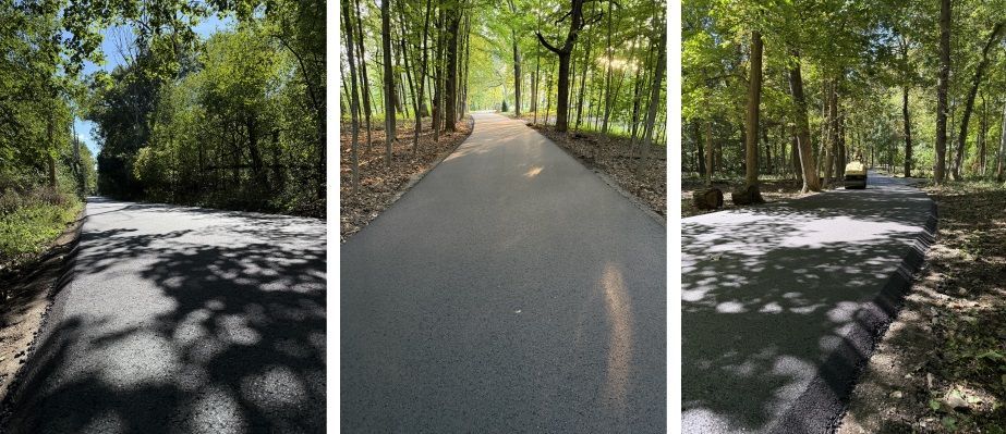 Three views of a sunny tree-lined road with dappled shadows and a paved path through the woods