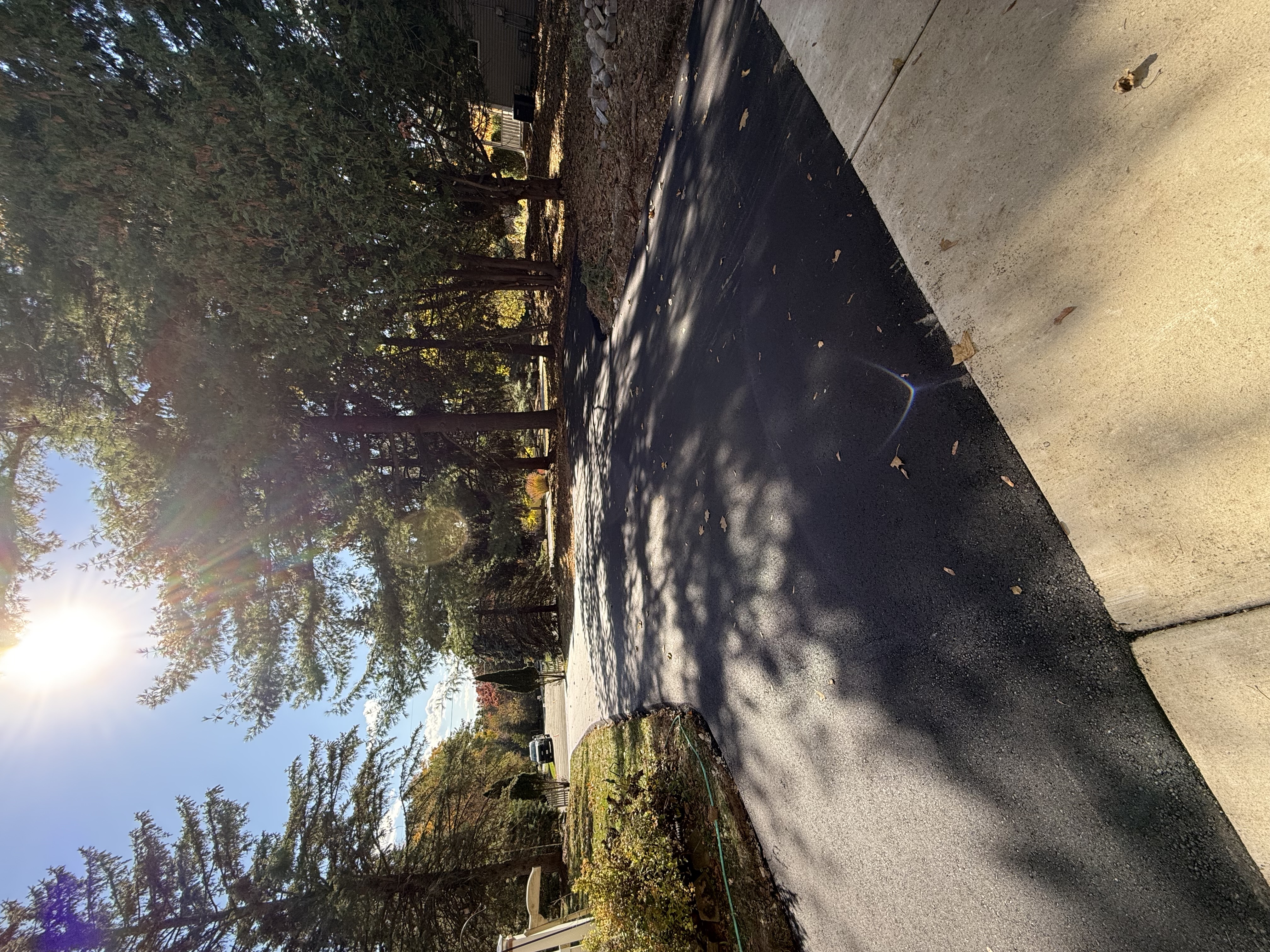 Black truck unloading asphalt beside a skid steer in a bare wooded lot