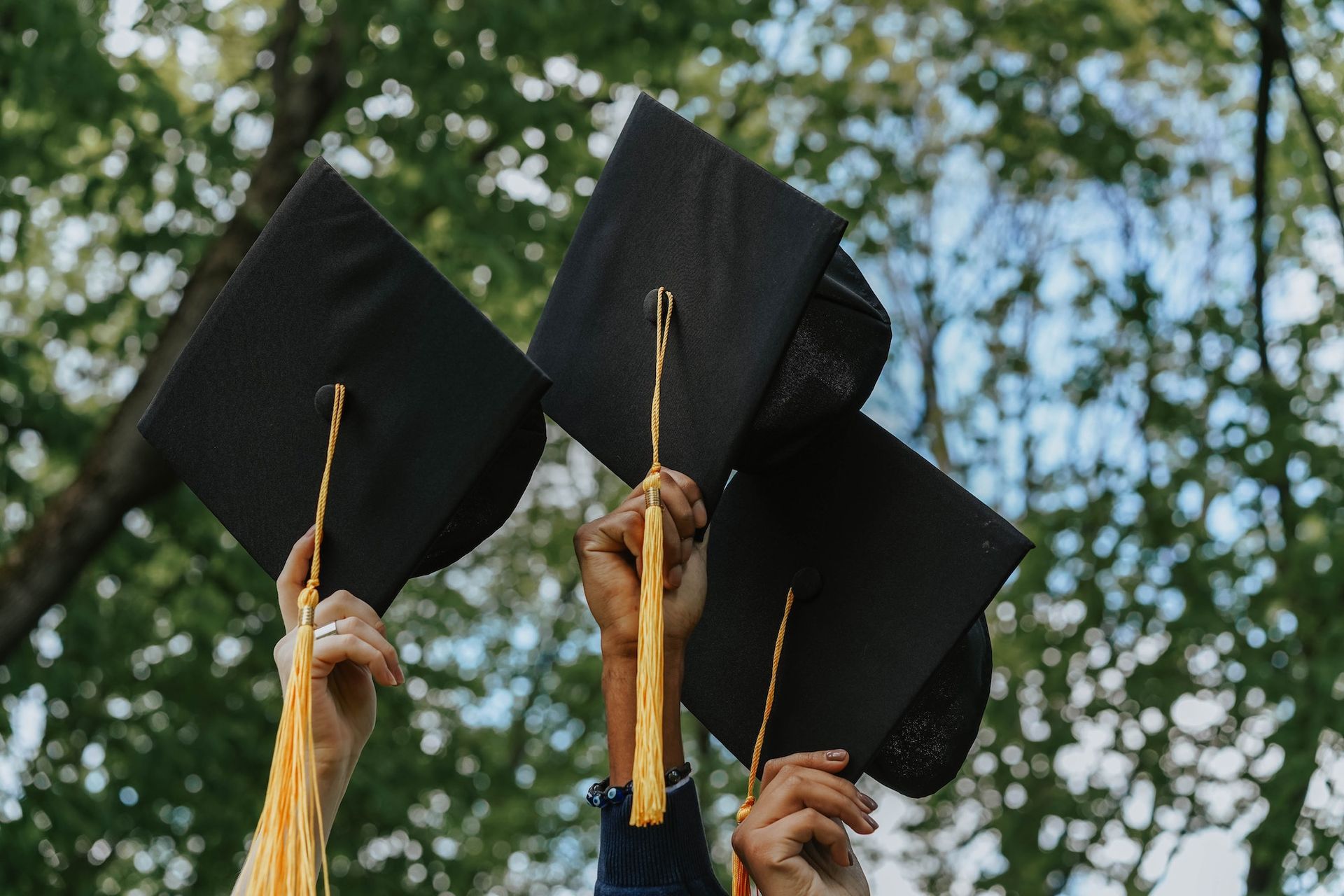 graduation caps held up