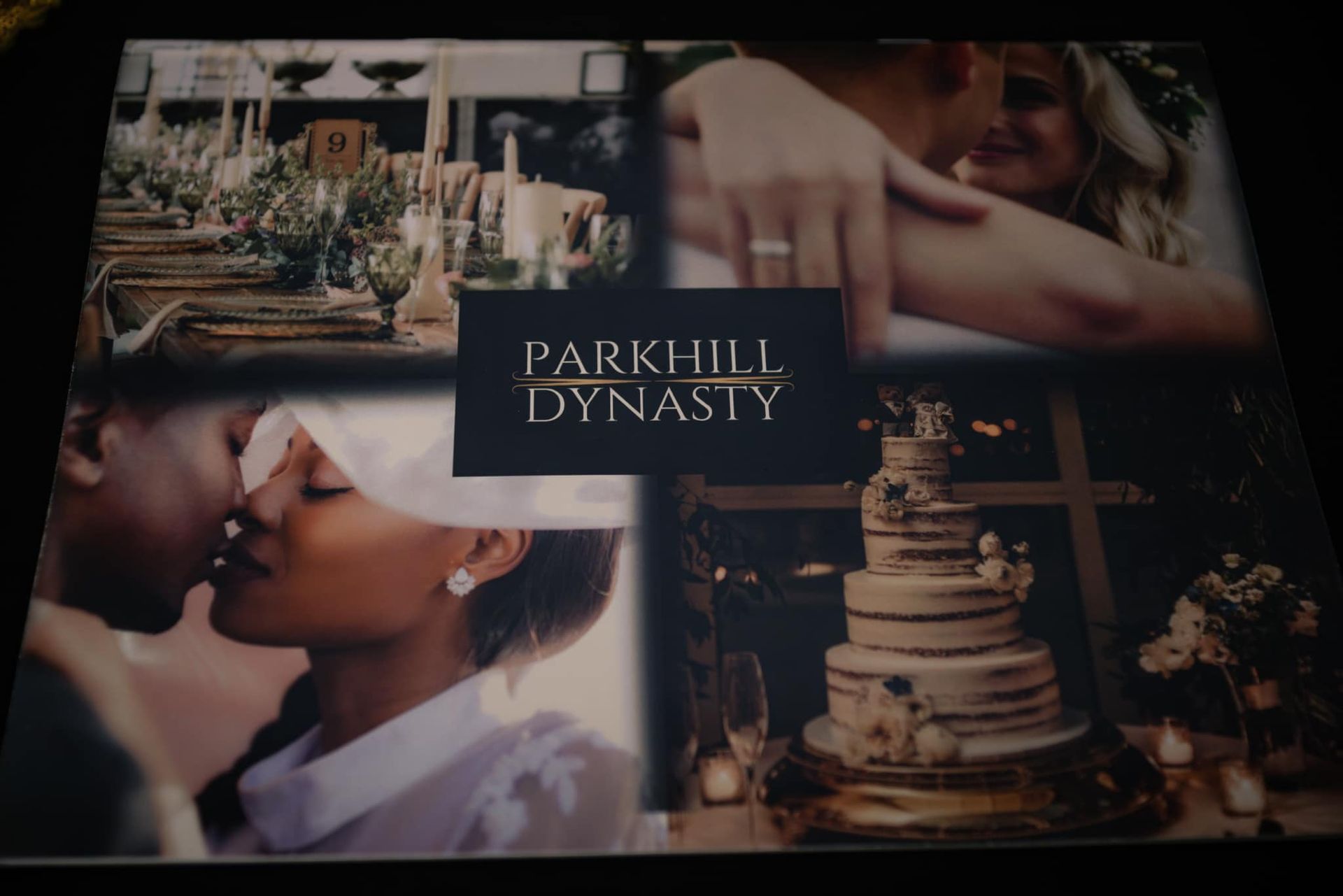 A book titled parkhill dynasty shows a bride and groom kissing