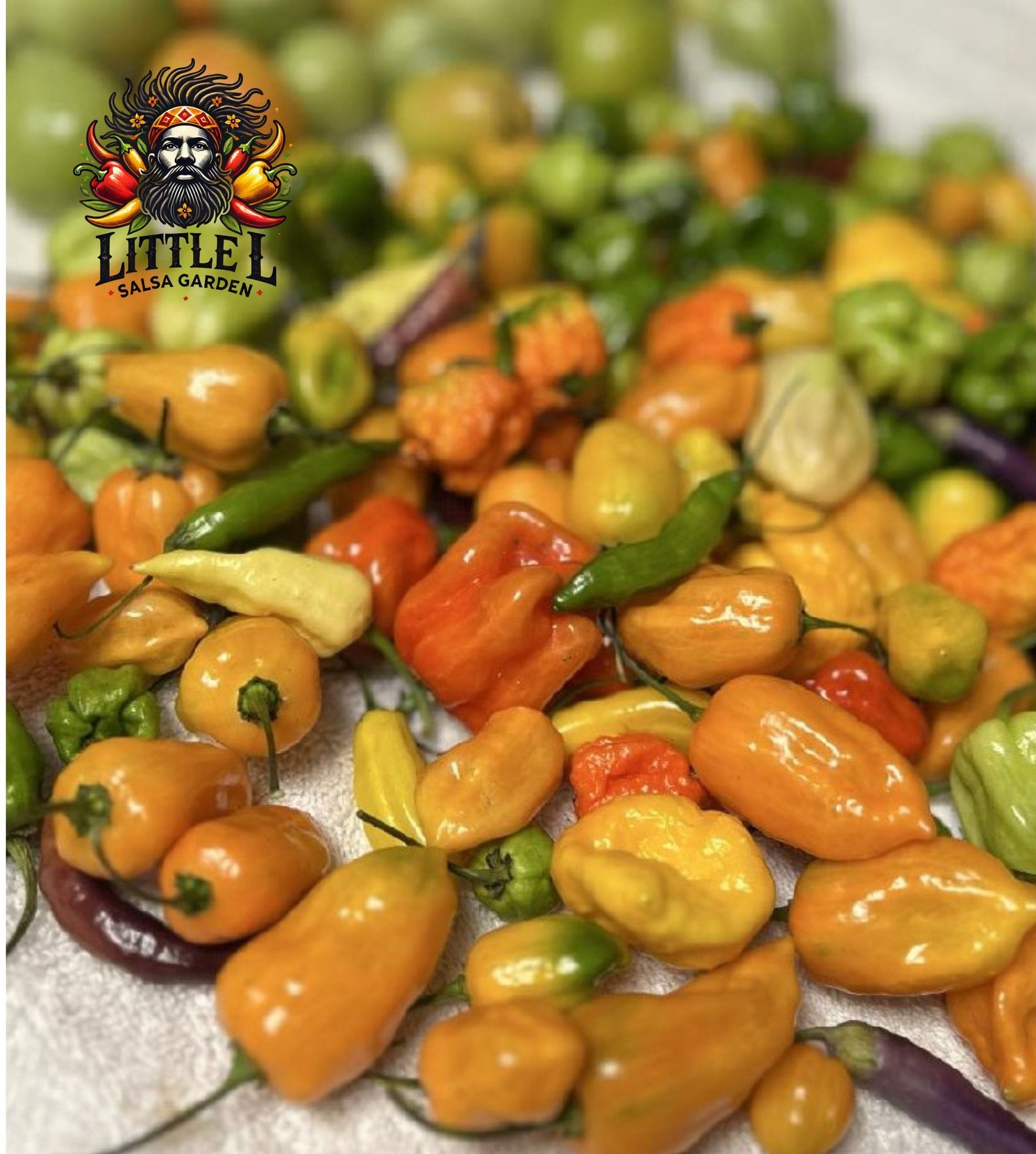 Pile of colorful peppers, orange, yellow, green, and red. A logo is in the top left corner.