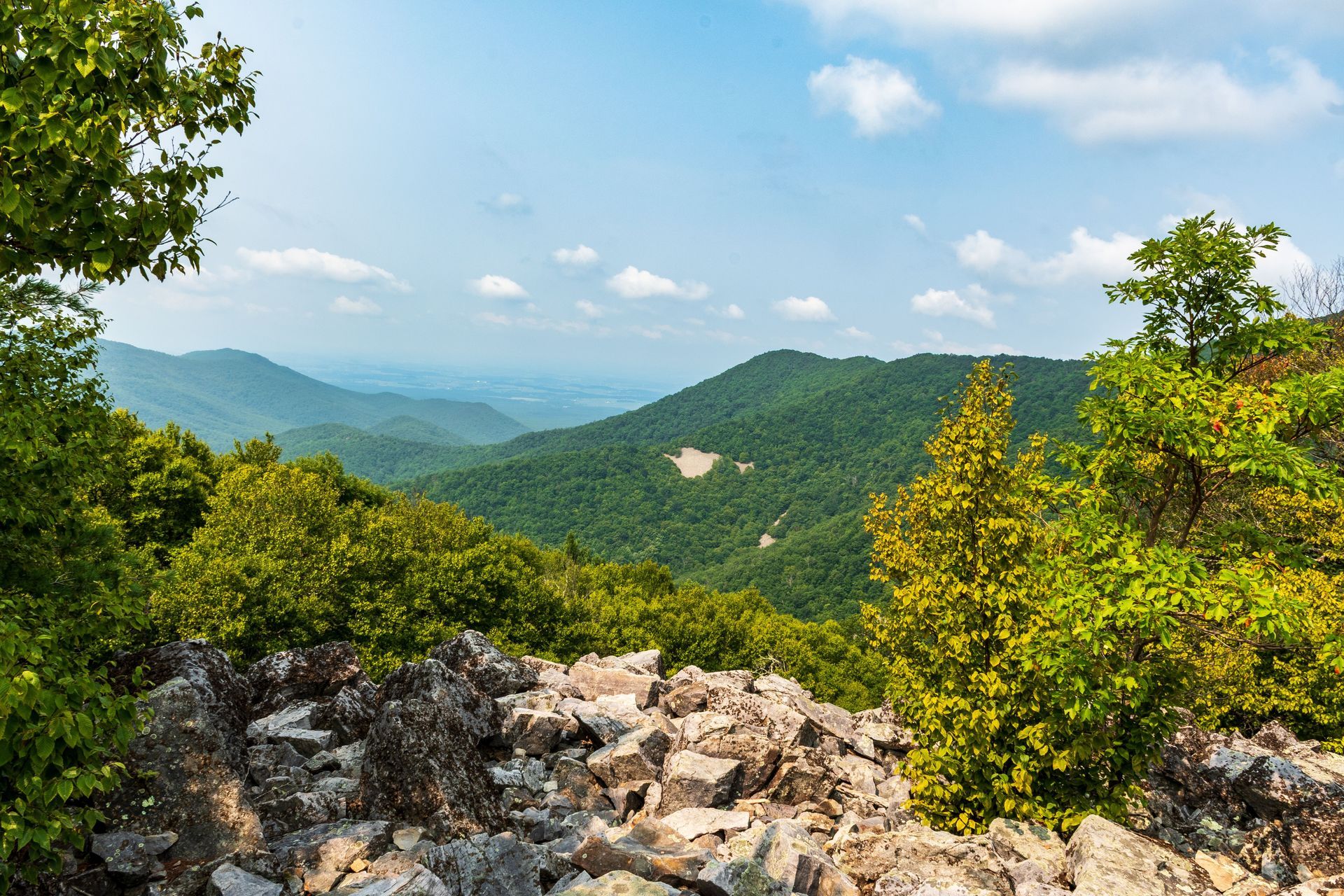Stone path through a mountain forest, two hikers ascend.