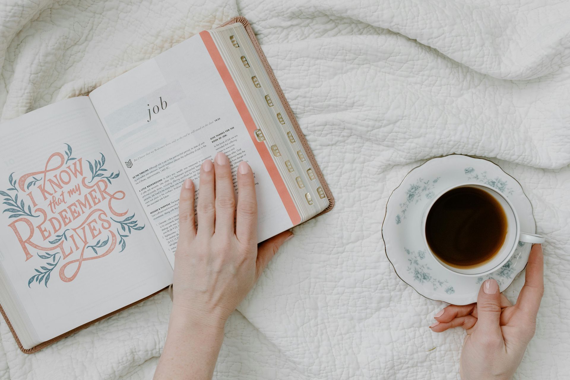 Person holding open book with