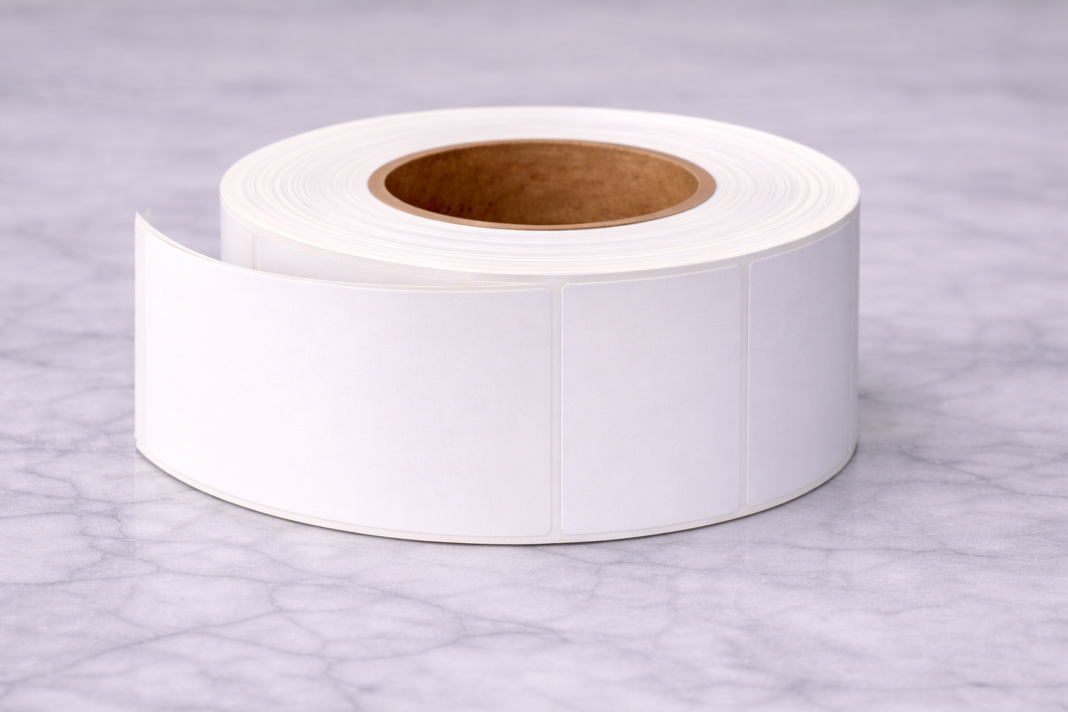 Synthetic Labels | Execuprint