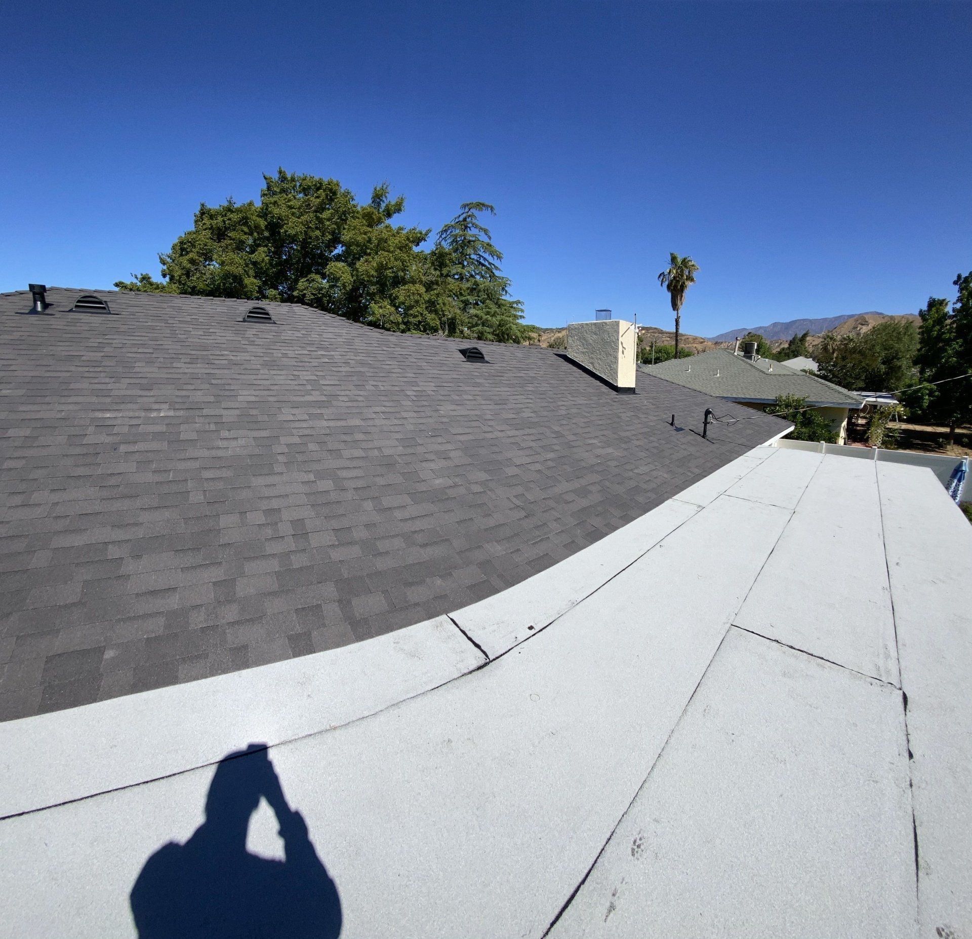 View of a dark gray shingle roof with white flat roof edging under a clear blue sky