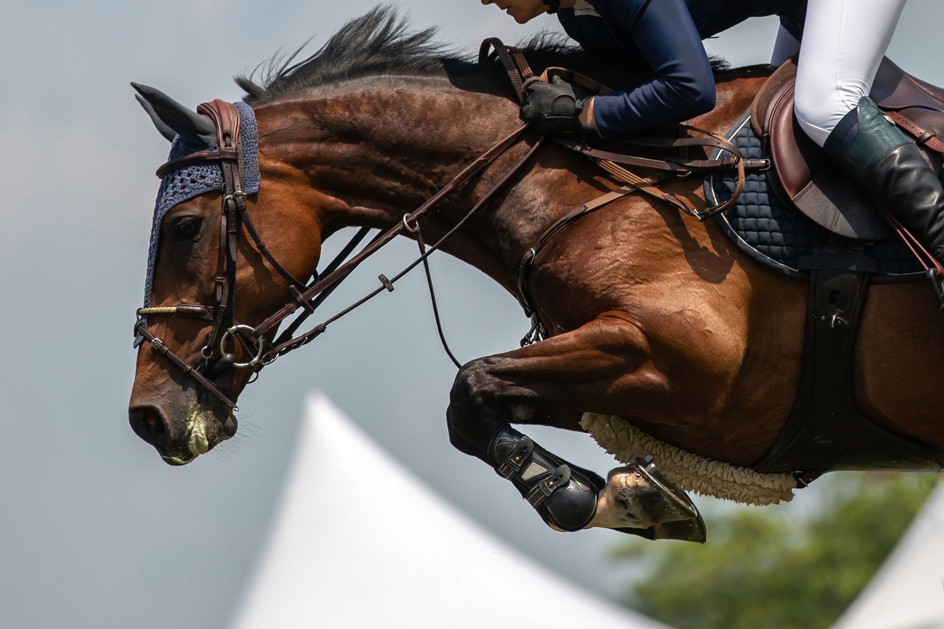 Horse and rider jumping over a hurdle, close-up side view with a brown horse in motion.