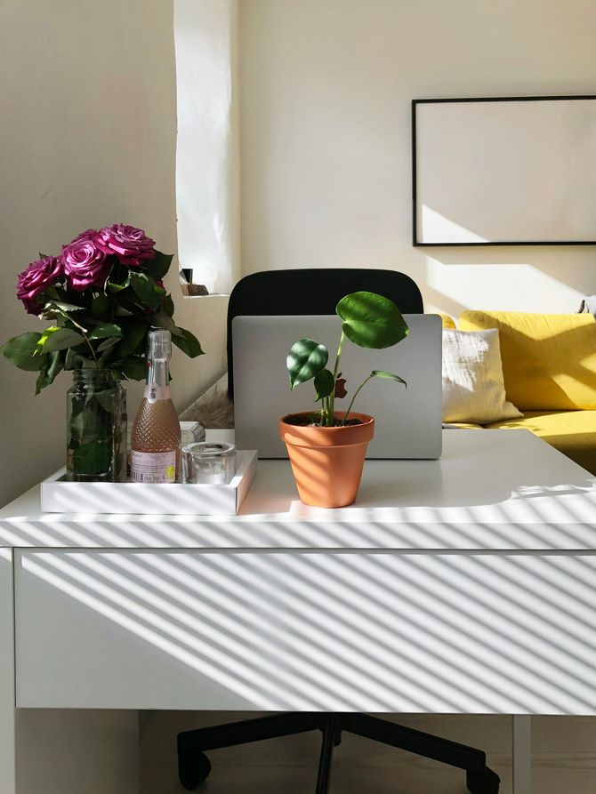 Sunlit bedroom with white dresser, plants, and yellow pillows on the bed