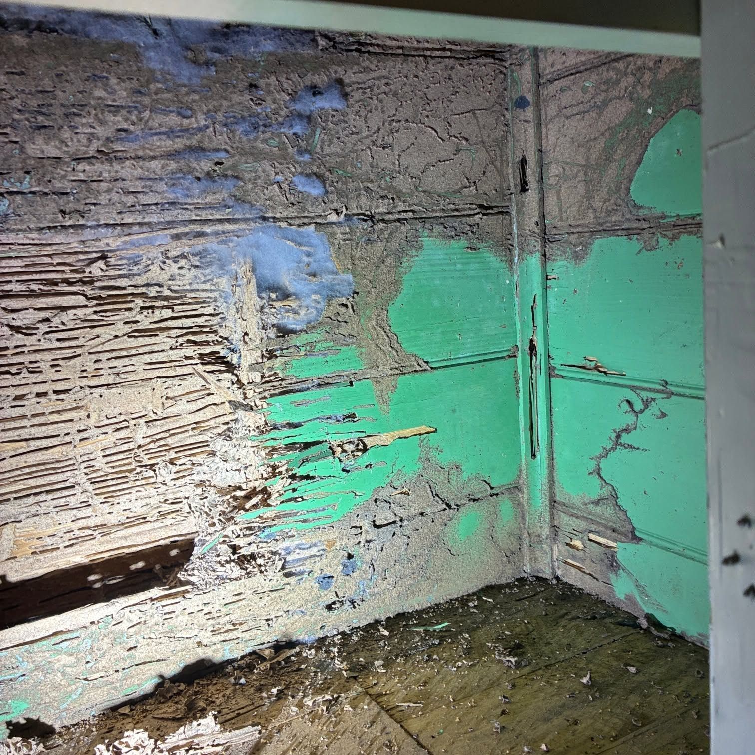 Damaged Wall With Exposed Wooden Lath in Lake Macquarie