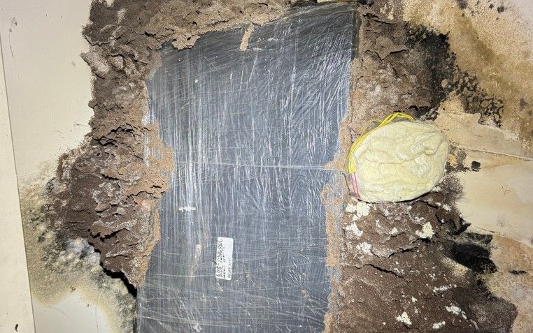 Termite Inspection Lake Macquarie Revealing Extensive Termite Damage