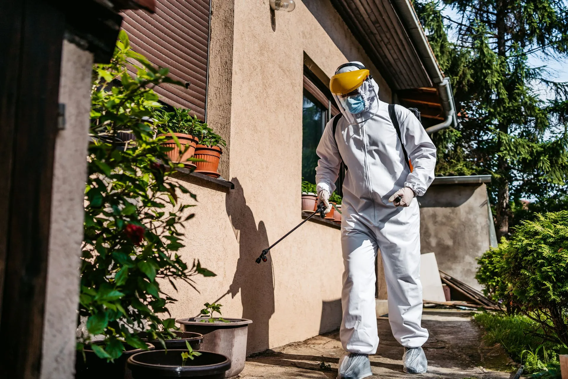 A Person Uses a Sprayer to Sanitize the Exterior of a Building — Pest Storm In Summerland Point, NSW