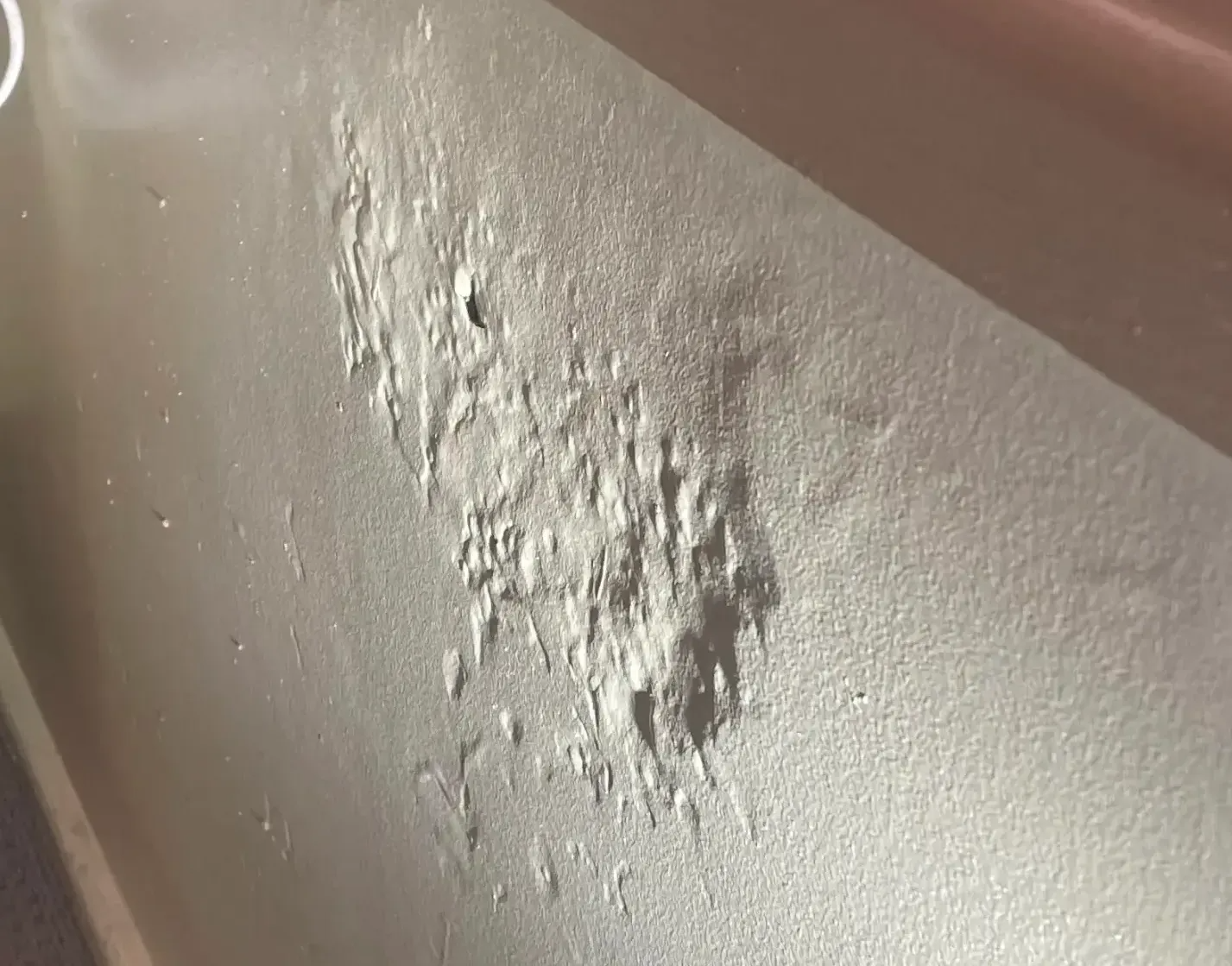 An Indoor Wall Showing Significant Bubbling and Peeling White Paint — Pest Storm In Summerland Point, NSW