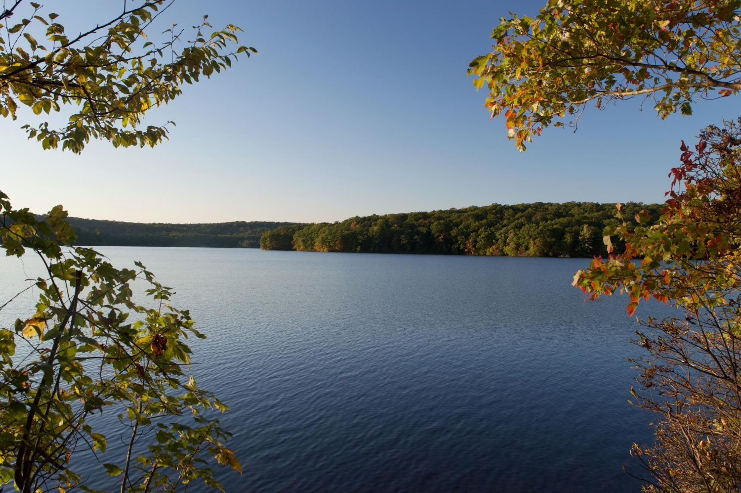 Calm blue lake under a clear sky, framed by autumn trees along the shore